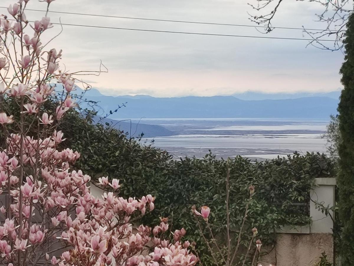 Guesthouse Michobeis Kamarína 外观 照片