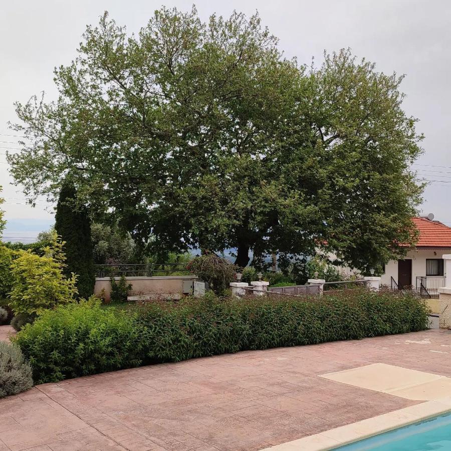 Guesthouse Michobeis Kamarína 外观 照片
